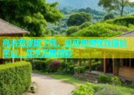 高清完整版下载，蘑菇视频在线播放平台，尽享无限精彩