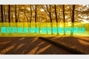 蘑菇栽培全攻略 轻松掌握丰收秘诀