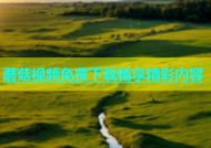 蘑菇视频免费下载畅享精彩内容