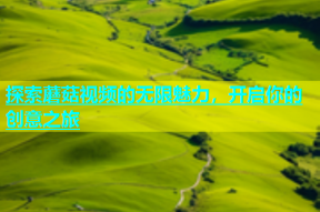 探索蘑菇视频的无限魅力，开启你的创意之旅