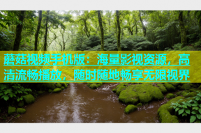 蘑菇视频手机版：海量影视资源，高清流畅播放，随时随地畅享无限视界