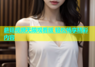 蘑菇视频无限观看版 轻松畅享精彩内容