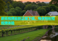 蘑菇视频最新正版下载，畅享精彩短视频体验