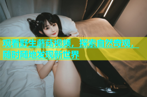 观看野生蘑菇视频，探索自然奇观，随时随地发现新世界