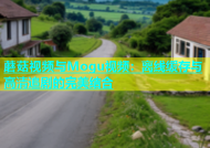 蘑菇视频与Mogu视频：离线缓存与高清追剧的完美结合