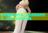 蘑菇视频色板下载，轻松获取独特色彩，打造个性化视频风格