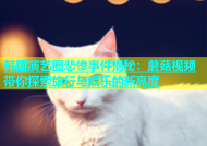 韩国演艺圈悲惨事件揭秘：蘑菇视频带你探索旅行与娱乐的新高度
