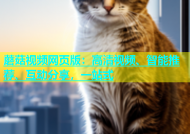 蘑菇视频网页版：高清视频、智能推荐、互动分享，一站式