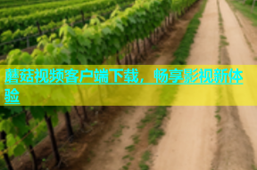 蘑菇视频客户端下载，畅享影视新体验