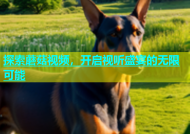 探索蘑菇视频，开启视听盛宴的无限可能