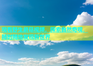观看野生蘑菇视频，探索自然奇观，随时随地发现新世界