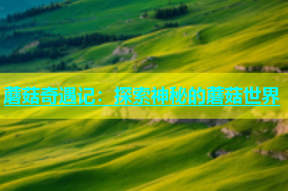 蘑菇奇遇记：探索神秘的蘑菇世界