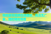 杨树蘑菇视频在线播放：高清无广告，随时随地观看