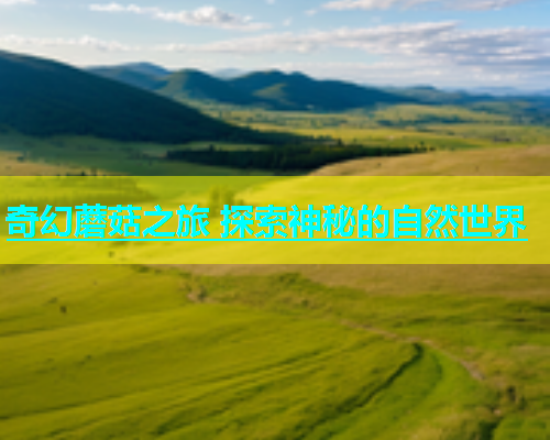 奇幻蘑菇之旅 探索神秘的自然世界  第1张