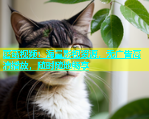 蘑菇视频：海量影视资源，无广告高清播放，随时随地畅享  第2张