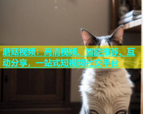 蘑菇视频：高清视频、智能推荐、互动分享，一站式短视频社交平台  第1张
