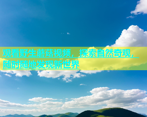 观看野生蘑菇视频，探索自然奇观，随时随地发现新世界  第1张